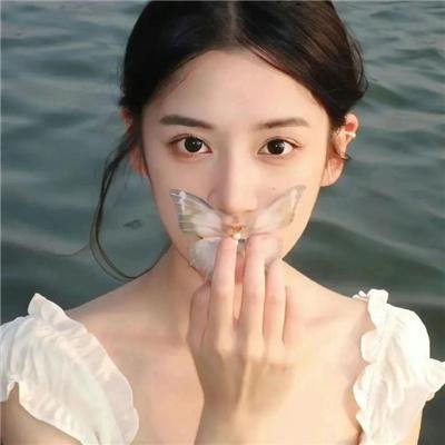 凤皇传